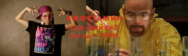 прущие грибы Гусев