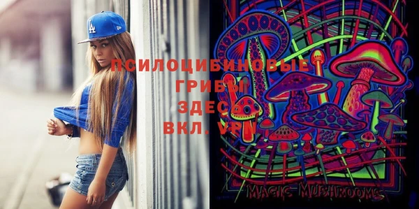 ешки Алексин
